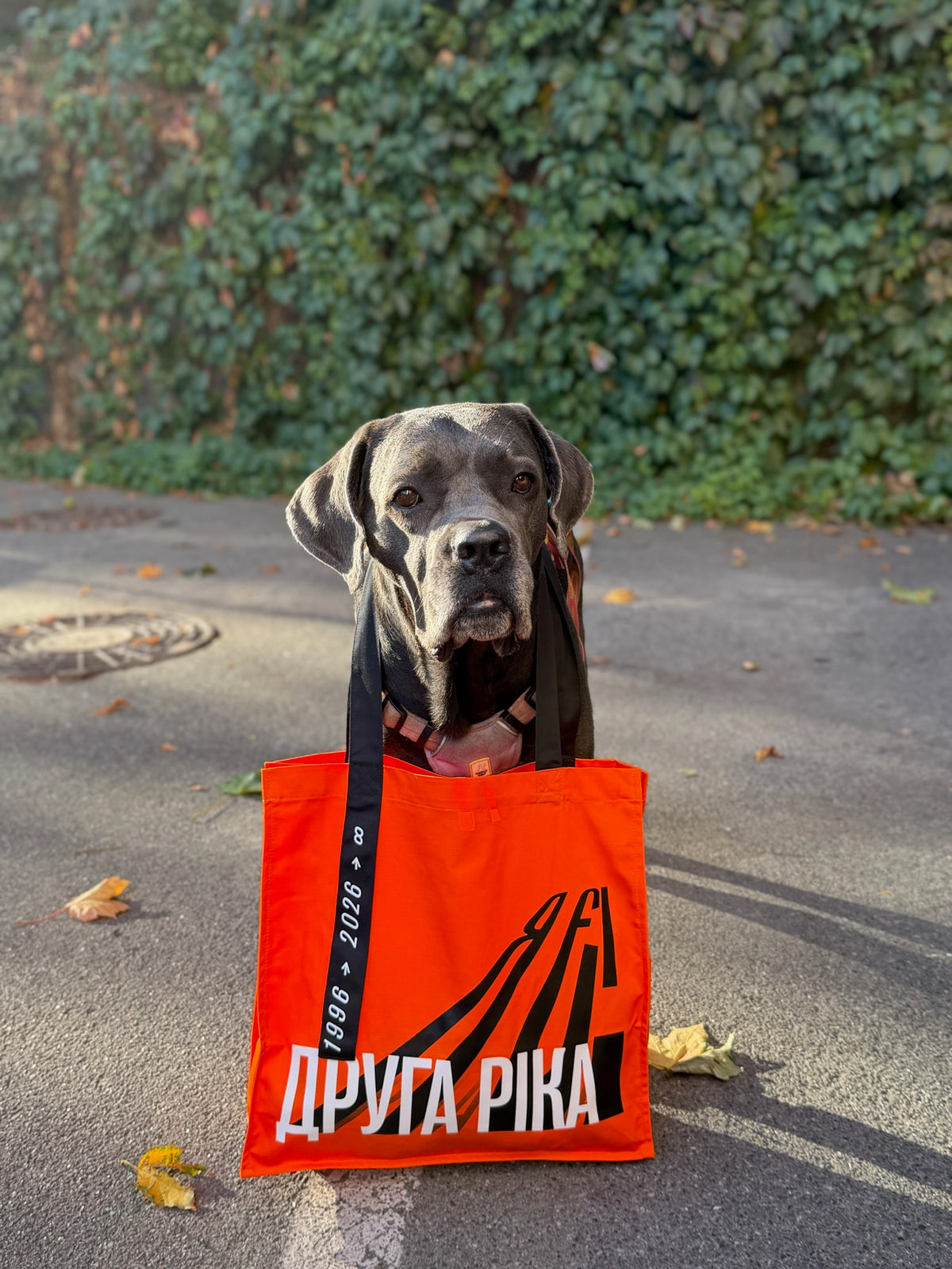 Шопер «Друга Ріка 30 років» / Druga Rika 30th Anniversary Tote Bag
